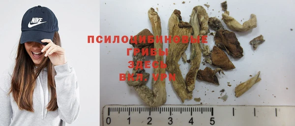 дурь Алексеевка