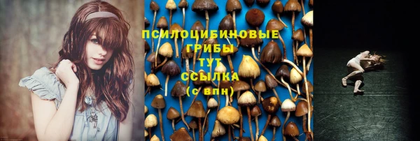 дурь Алексеевка